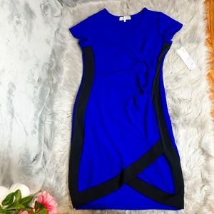 Royal Blue V Neck Dress